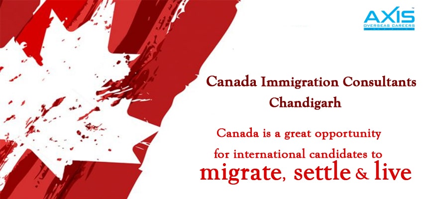 Canada Immigration Consultants in Chandigarh