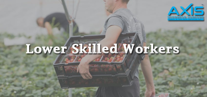 Lower Skilled Workers